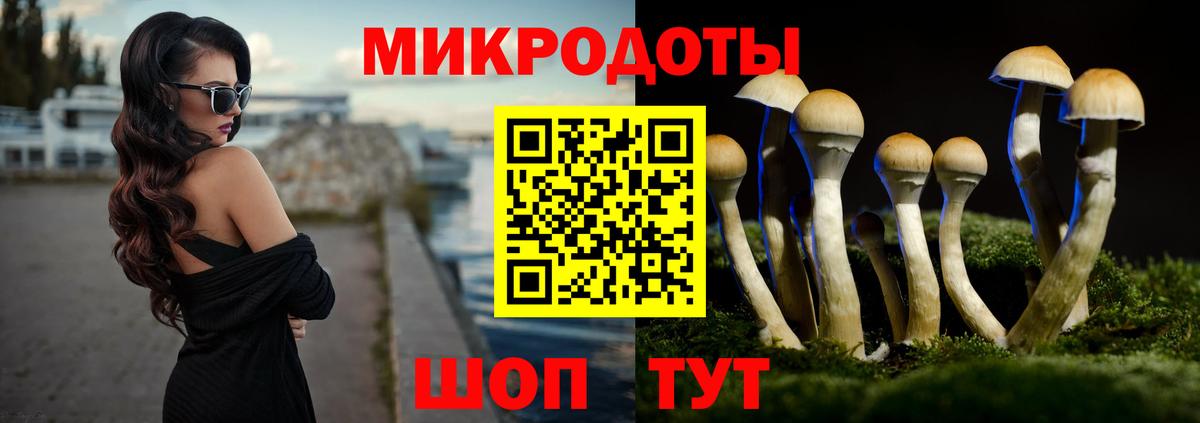 Галлюциногенные грибы мицелий Бийск