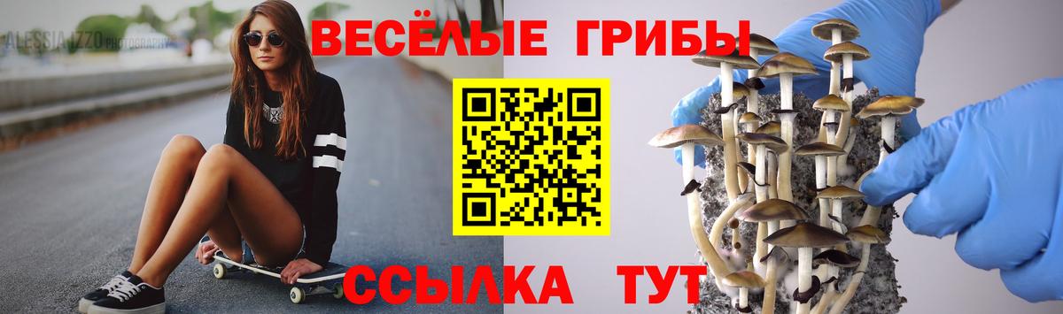 Бийск  Галлюциногенные грибы Cubensis  Вход с VPN 